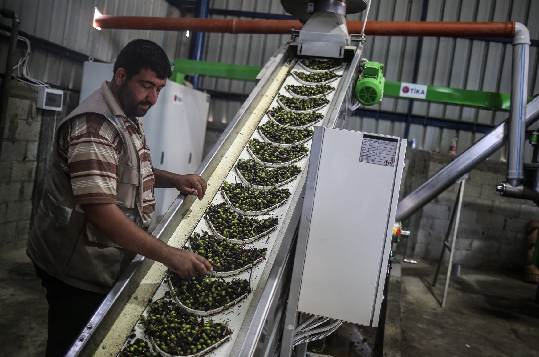مشروع استخلاص زيت الزيتون  في فلسطين وماكينات تعبئة وتغليف الزيت