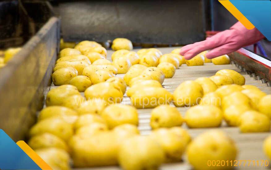  Half Fried Potato Frying Machine