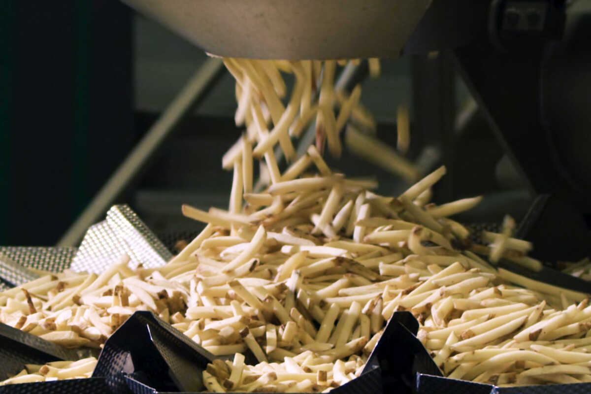 Frozen French Fries Packing Machine