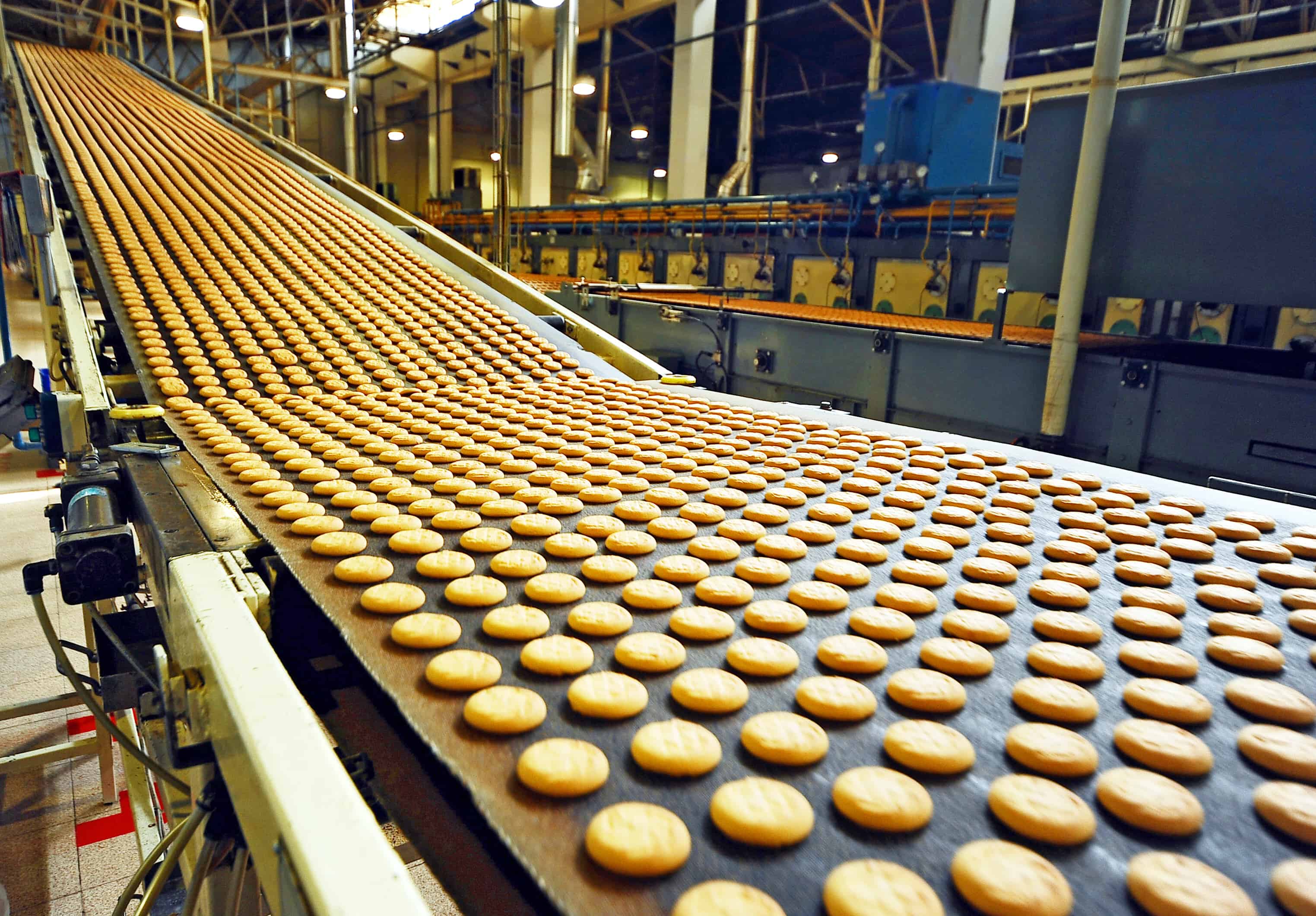 Food industry projects in Egypt, production lines and product packaging machines