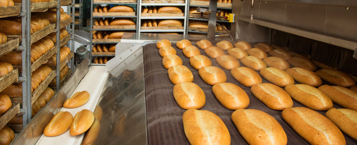 Automatic line for the production of Arabic bread 4 loaves