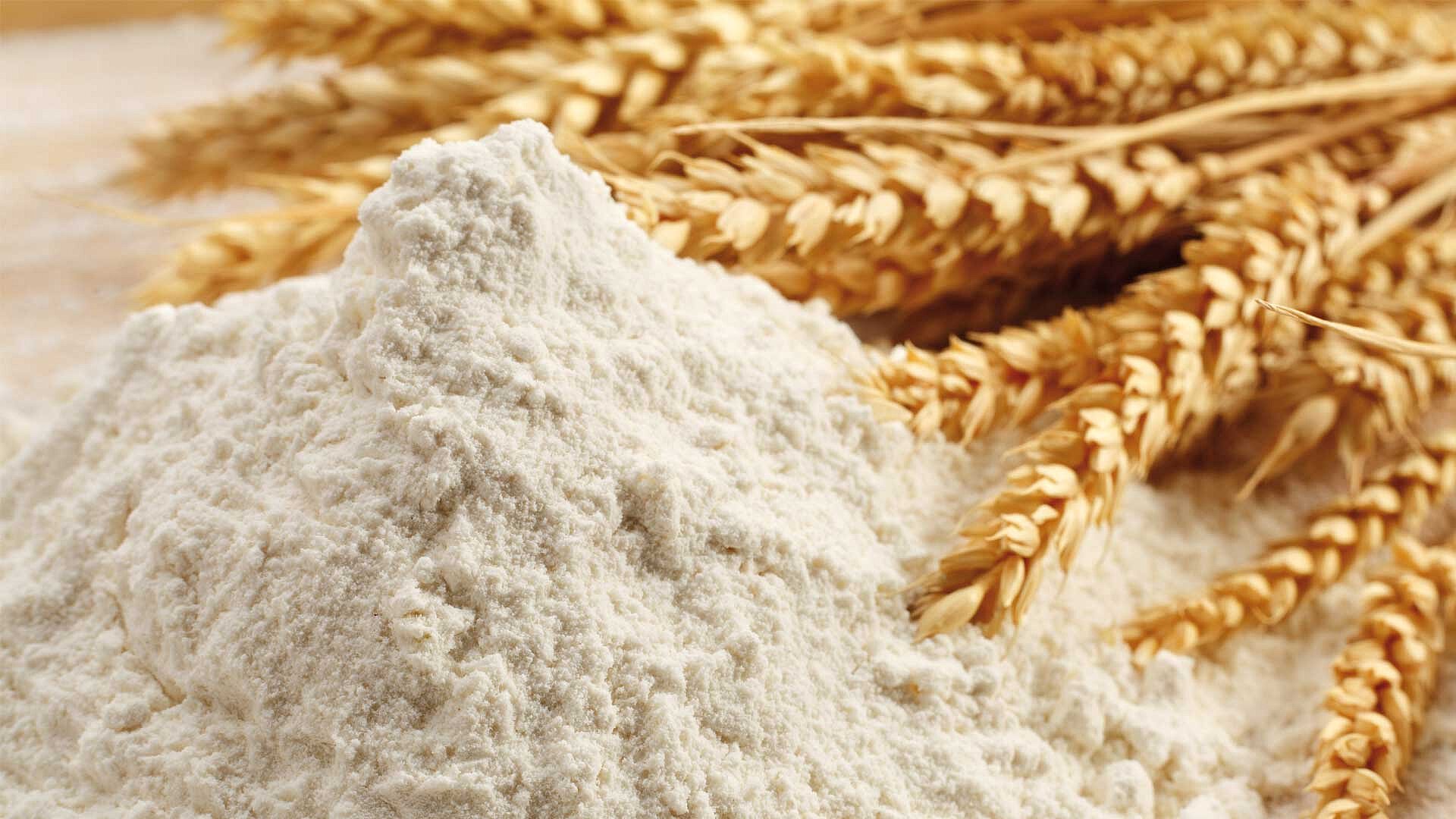 Flour mills, factories, storage, packaging and packaging in the Arab countries
