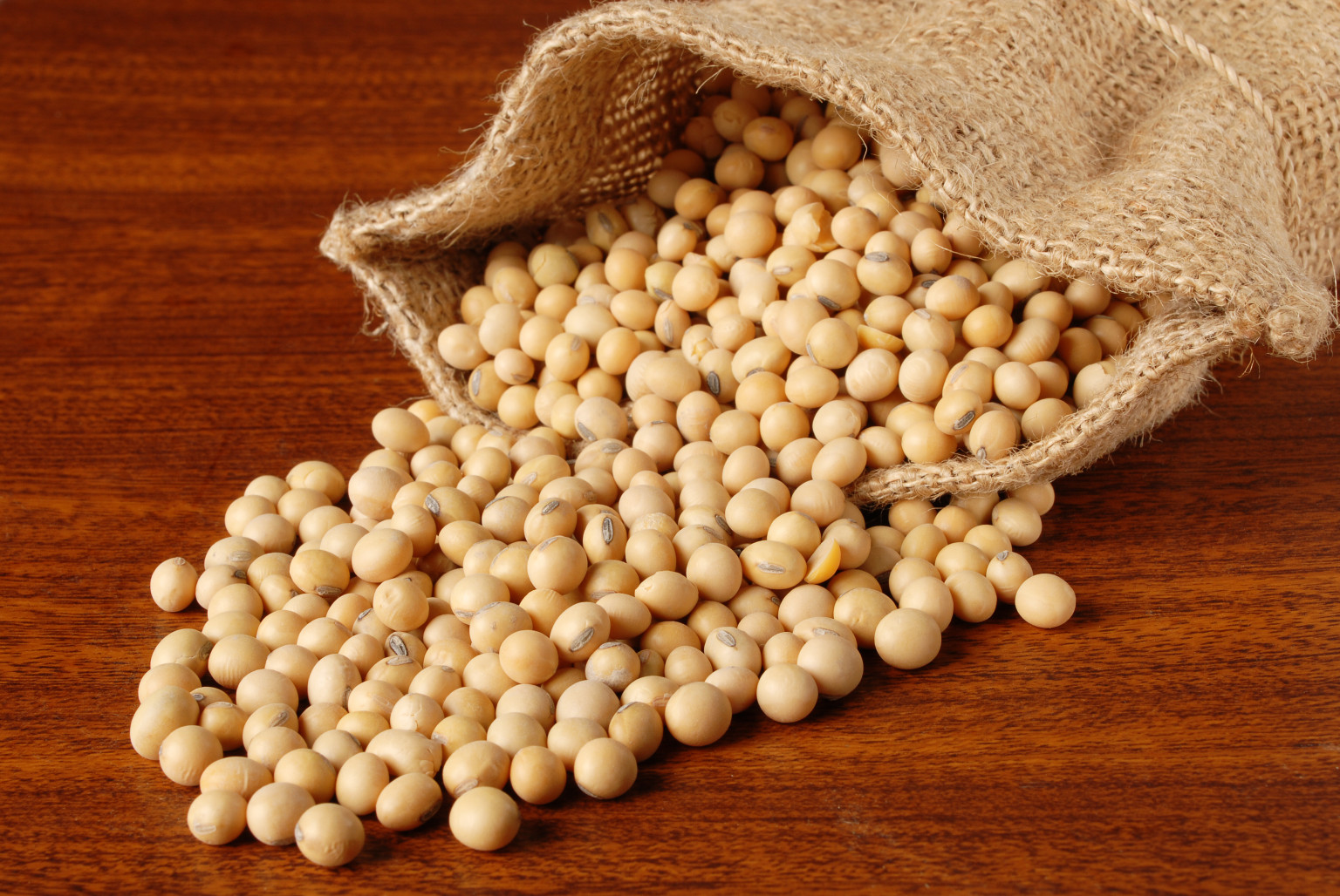 Study the feasibility of the soybean project and how to benefit from it financially and a machine