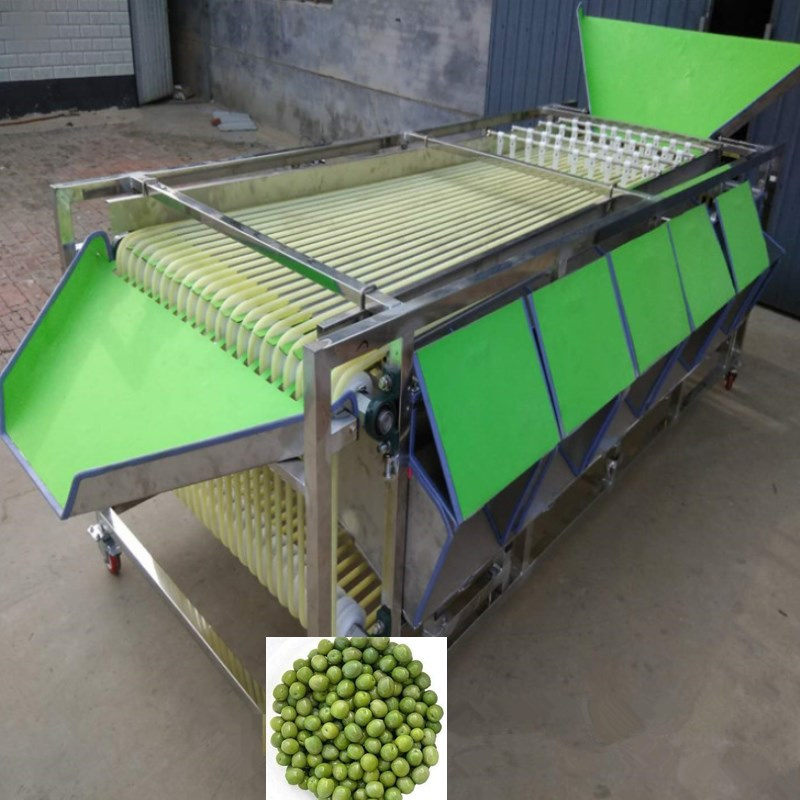 ماكينة فرز حجم الزيتون olive size sorting machine