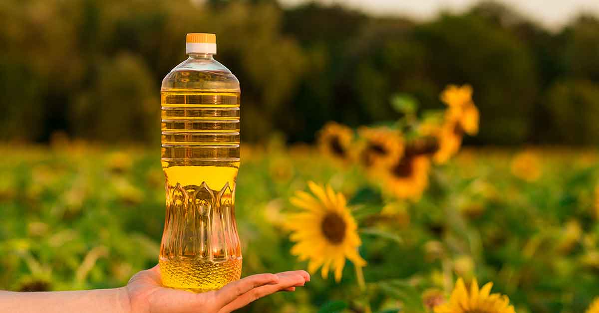 Information on sunflower or sunflower oil and filling and packaging machines for this product