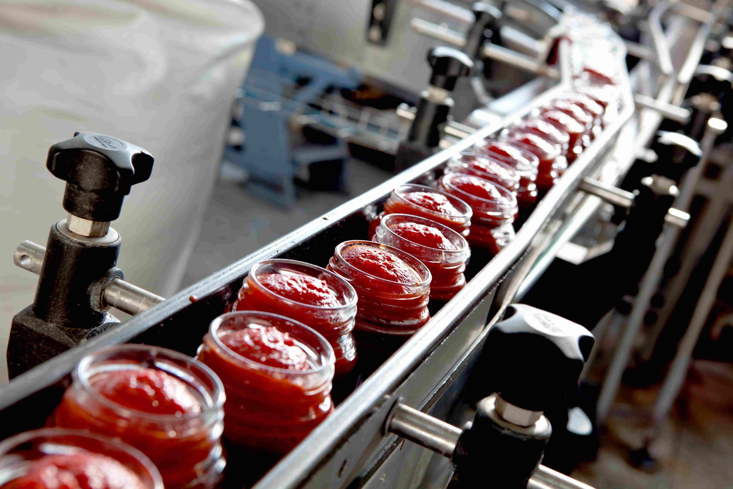 Production line and packaging machines for tomato sauce (sauce)