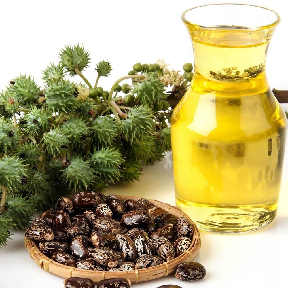 Castor oil production and packaging plant machines, types, components and processing method