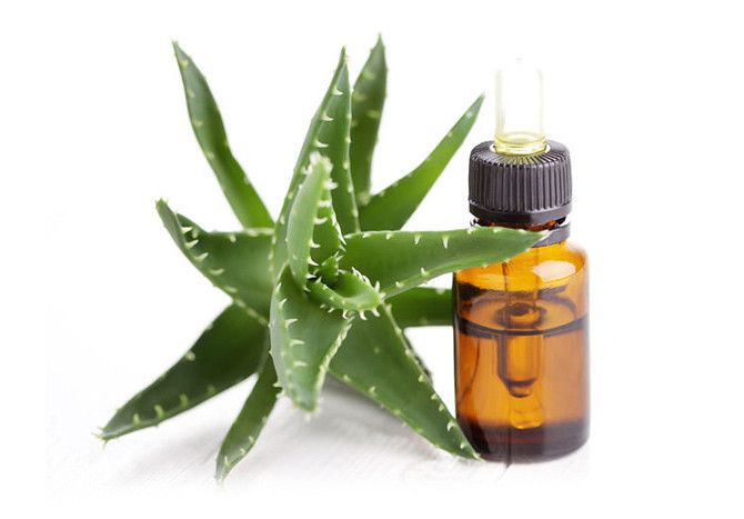 Aloe vera oil production and packaging plant machinery, components and processing method