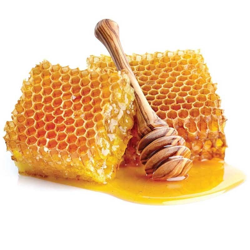 ТЭО идеи торговли оригинальным пчелиным мёдом и машинами для упаковки мёда