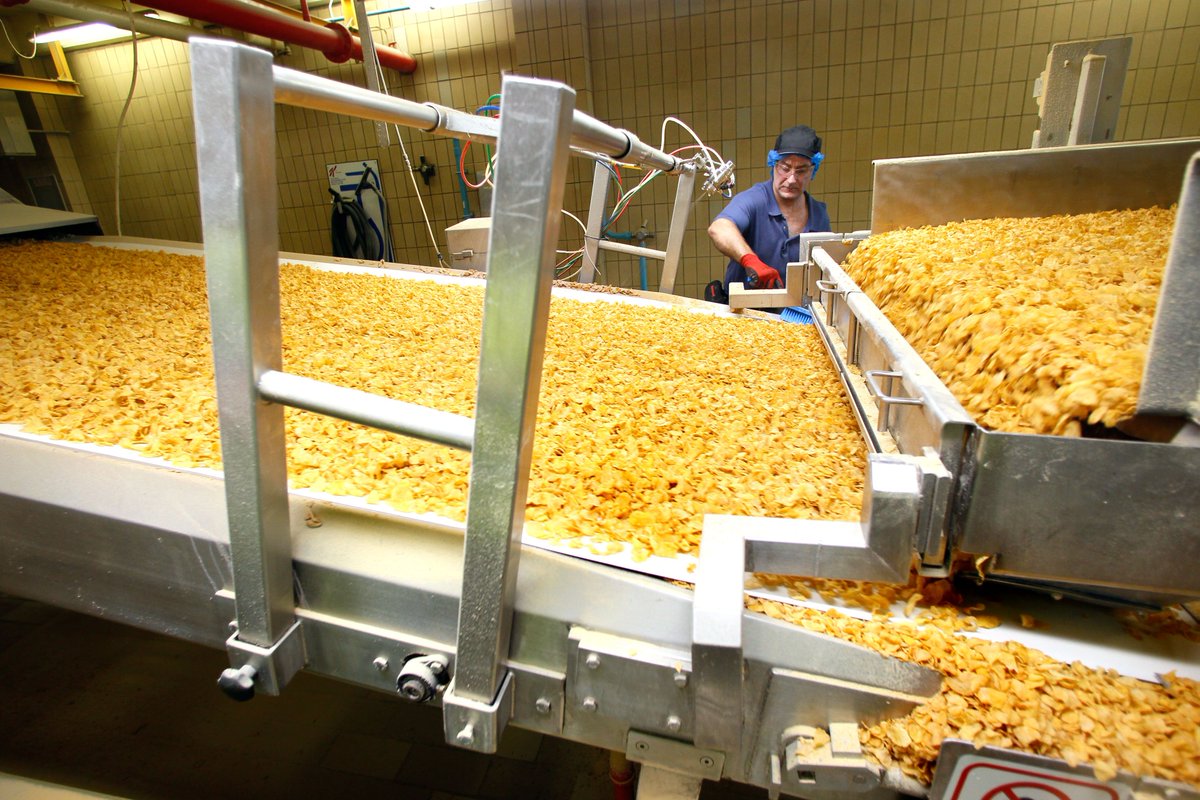 Corn chips production line project equipped with a three-layer oven with volumetric 