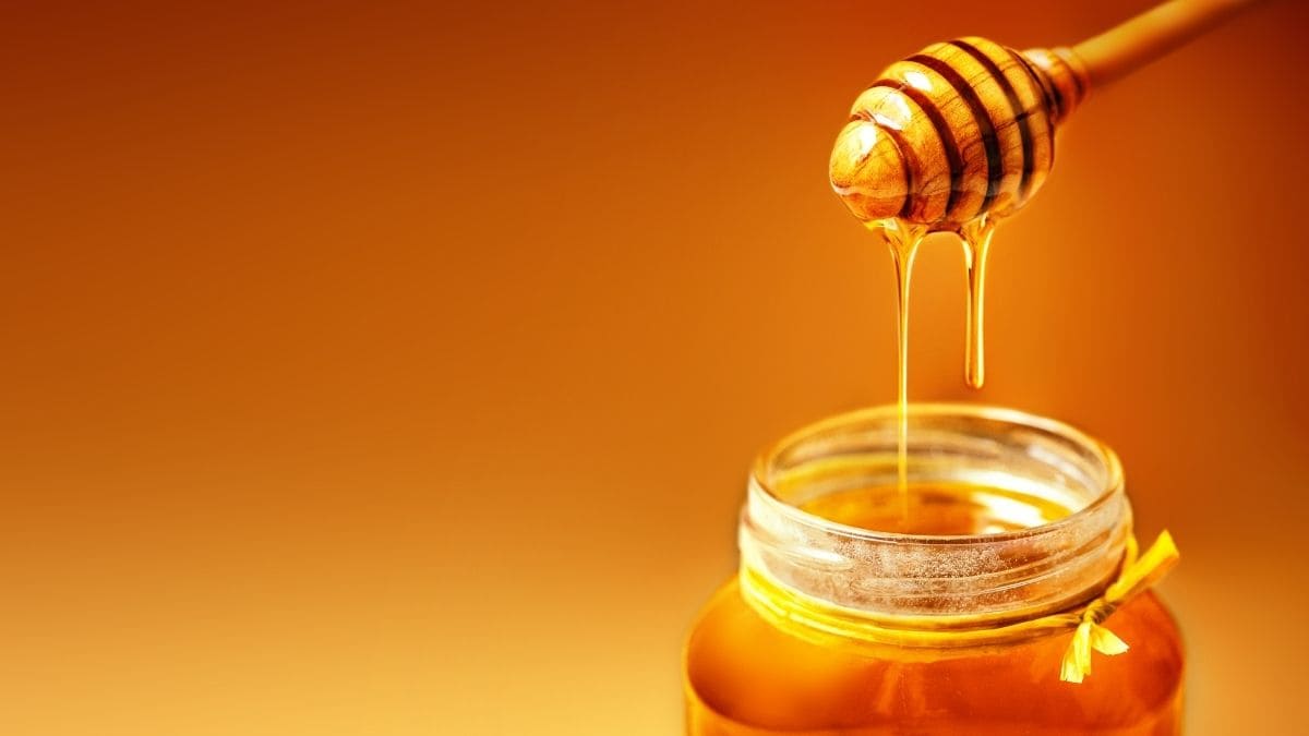 Honey production and packaging machines, types, components and processing method