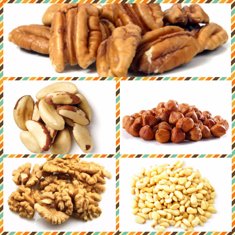 Feasibility study on nuts roasting and processing line and nuts packing machines in Egypt